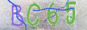 CAPTCHA-Bild